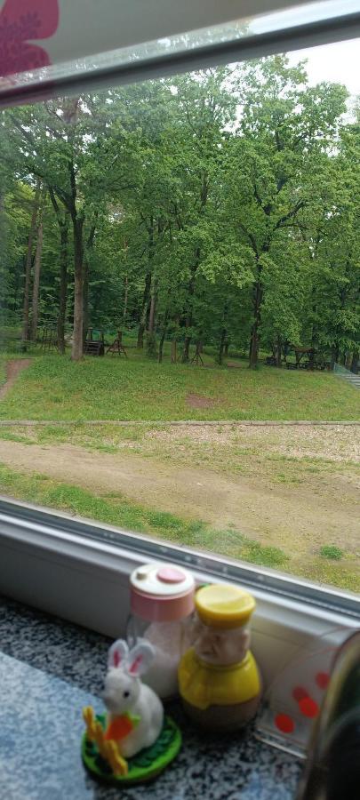 Апартаменти Truskavets Exterior foto